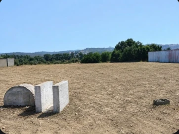 Terreno para Venda em Freixianda, Ribeira do Fárrio e Formigais