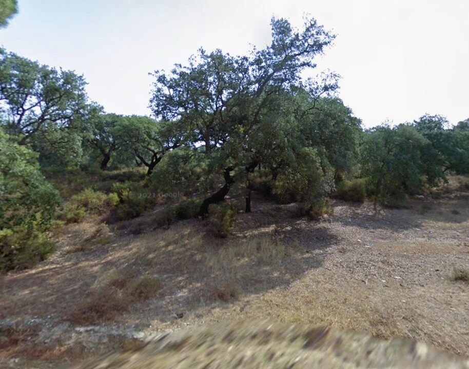 Terreno para Venda em Palmela Foto 11