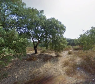 Terreno para Venda em Palmela