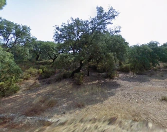 Terreno para Venda em Palmela
