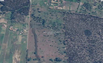 Terreno para Venda em Canha