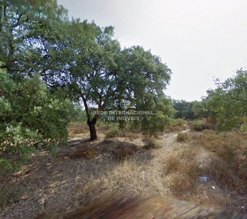 Terreno para Venda em Palmela Foto 11