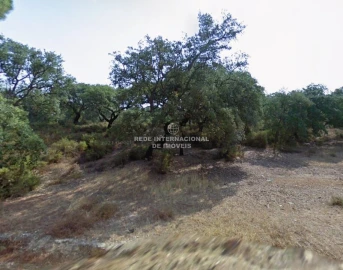 Terreno para Venda em Palmela
