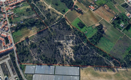 Terreno para Venda em Palmela