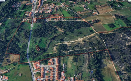 Terreno para Venda em Palmela