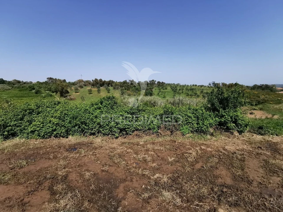 Moradia T0 para Venda em Olalhas Foto 3