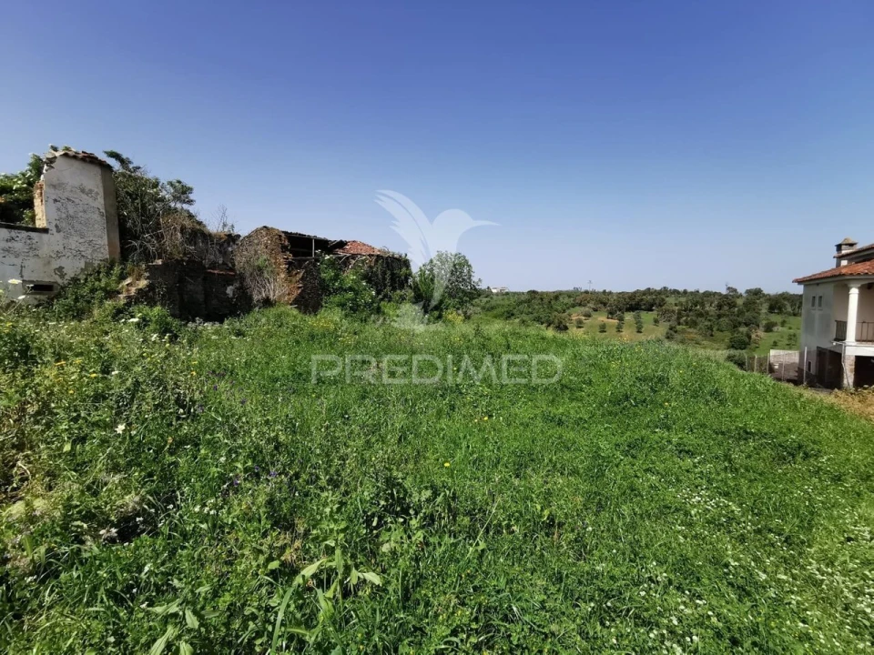 Moradia T0 para Venda em Olalhas Foto 4