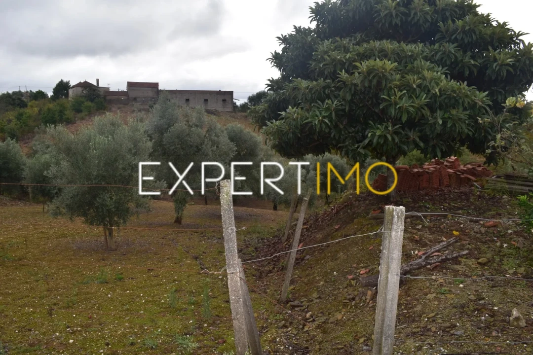Terreno para Venda em Graça Foto 2