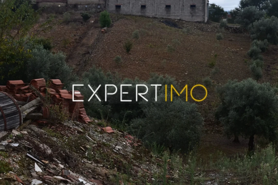 Terreno para Venda em Graça Foto 8