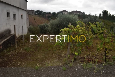 Terreno para Venda em Graça