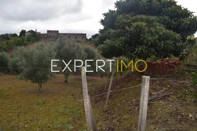Terreno para Venda em Graça