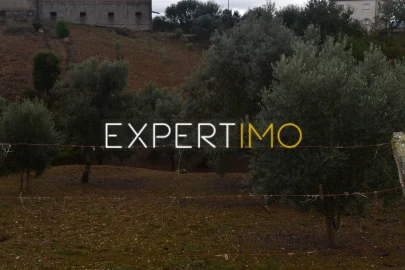 Terreno para Venda em Graça