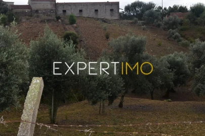 Terreno para Venda em Graça