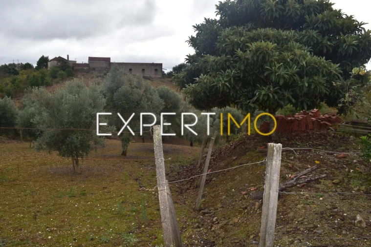 Terreno para Venda em Graça Foto 2