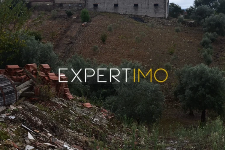Terreno para Venda em Graça Foto 8