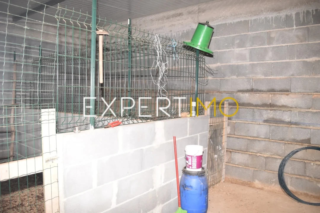 Moradia T5 para Venda em Graça Foto 25