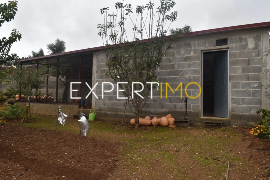 Moradia T5 para Venda em Graça Foto 28