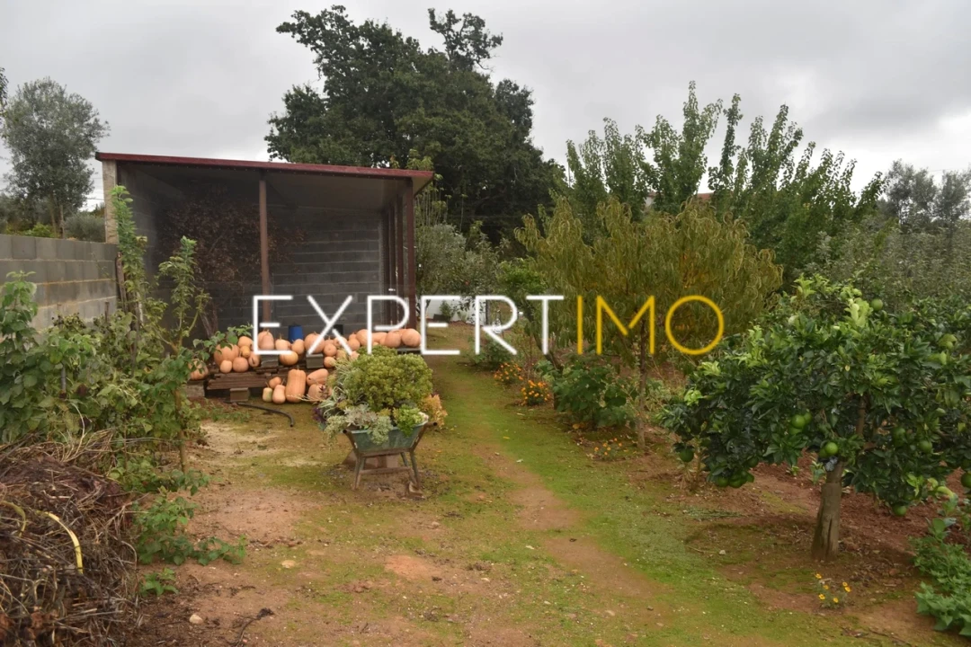 Moradia T5 para Venda em Graça Foto 29