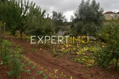 Moradia T5 para Venda em Graça