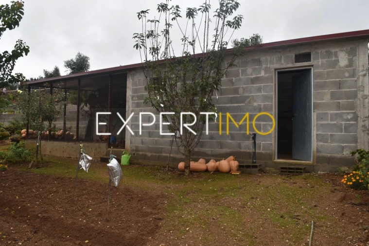 Moradia T5 para Venda em Graça Foto 28
