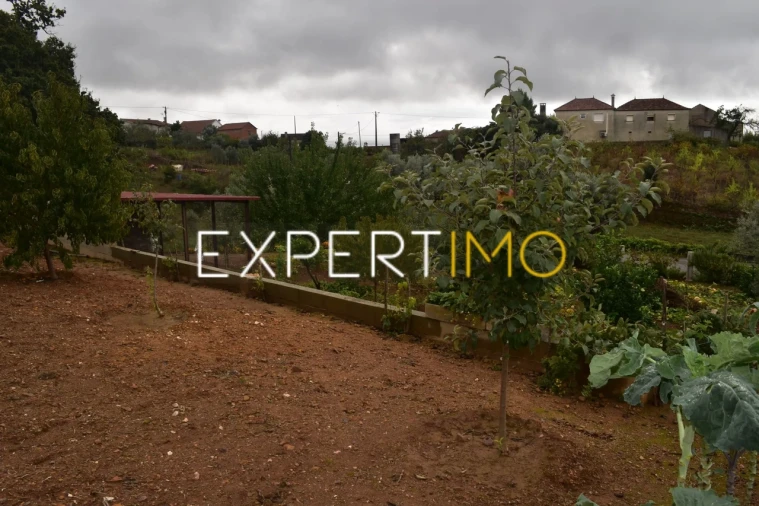 Moradia T5 para Venda em Graça Foto 36