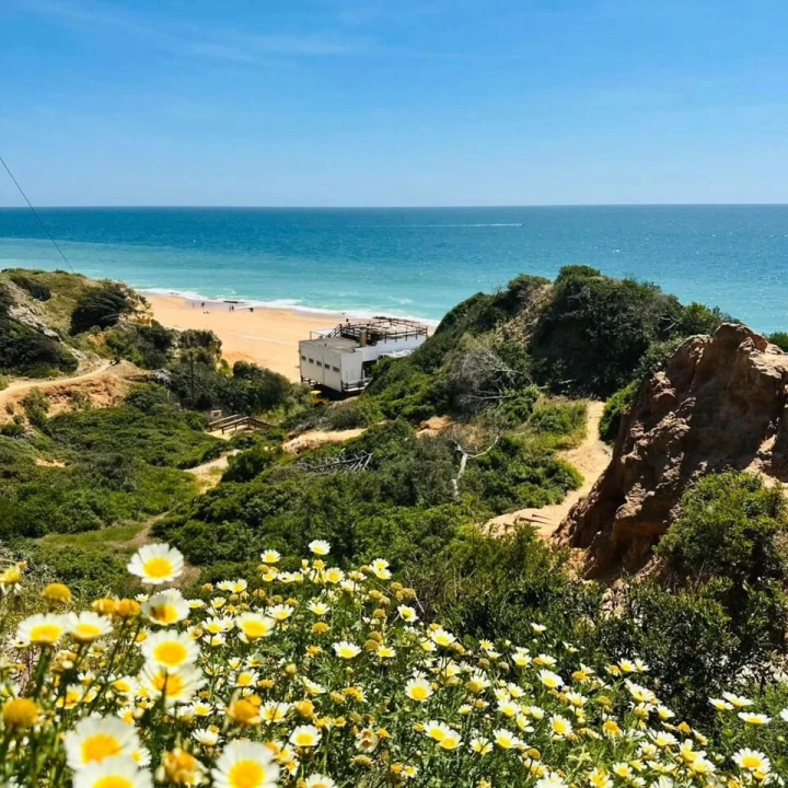 Apartamento T1 para Venda em Albufeira e Olhos de Água Foto 38