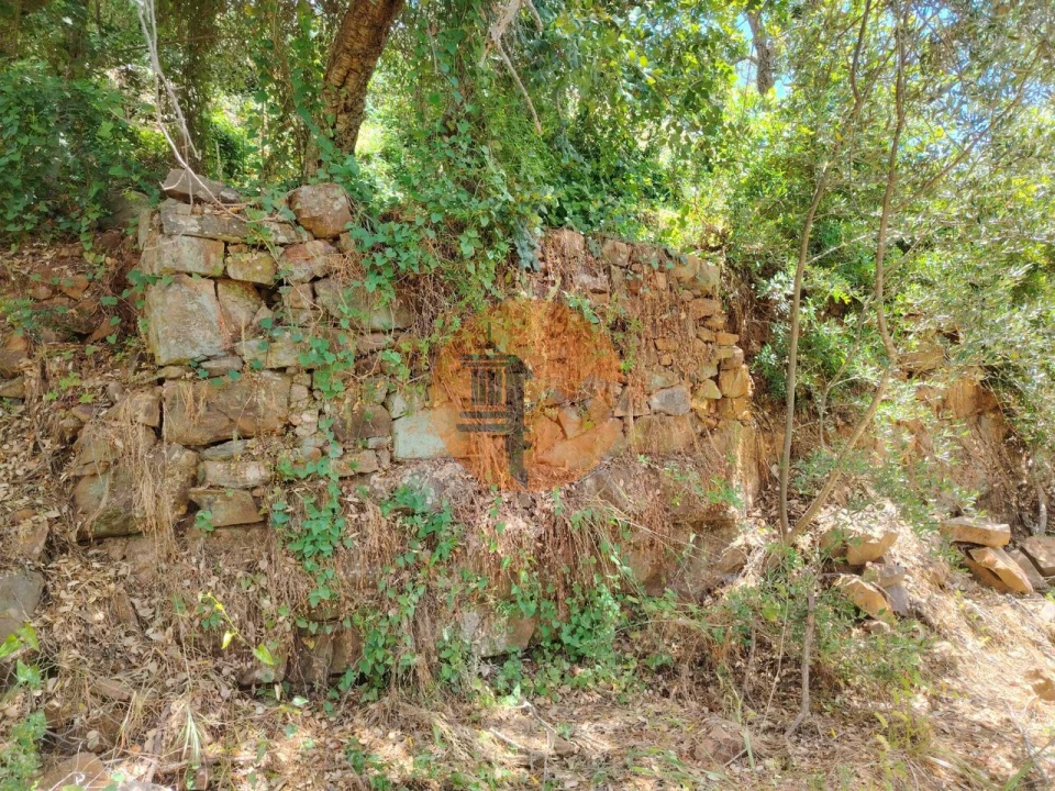 Terreno para Venda em Santa Catarina da Fonte do Bispo Foto 2
