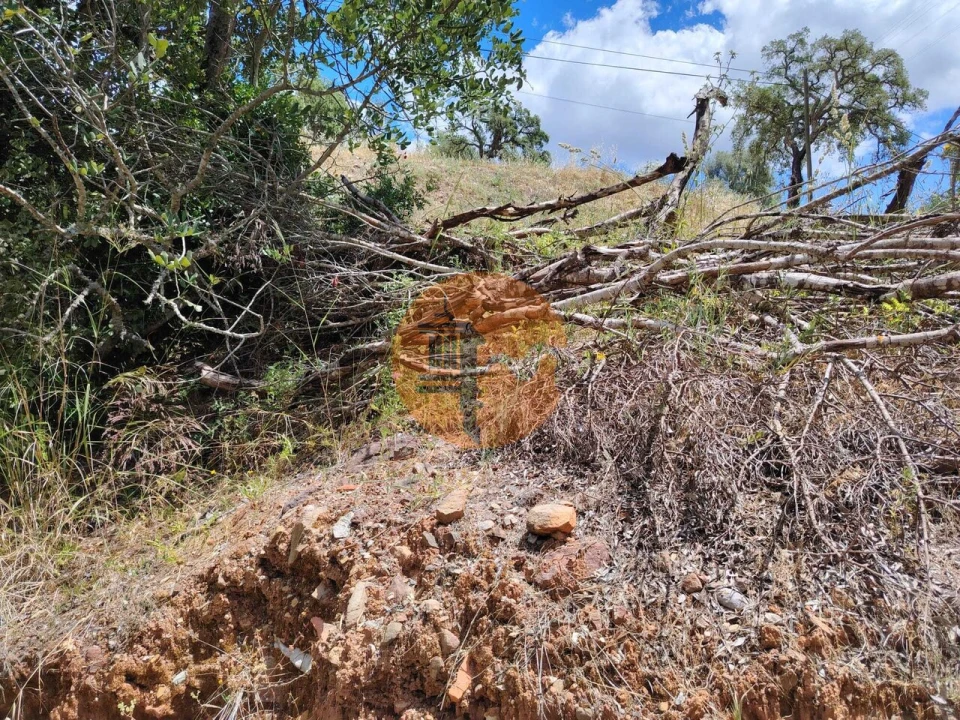 Terreno para Venda em Santa Catarina da Fonte do Bispo Foto 7