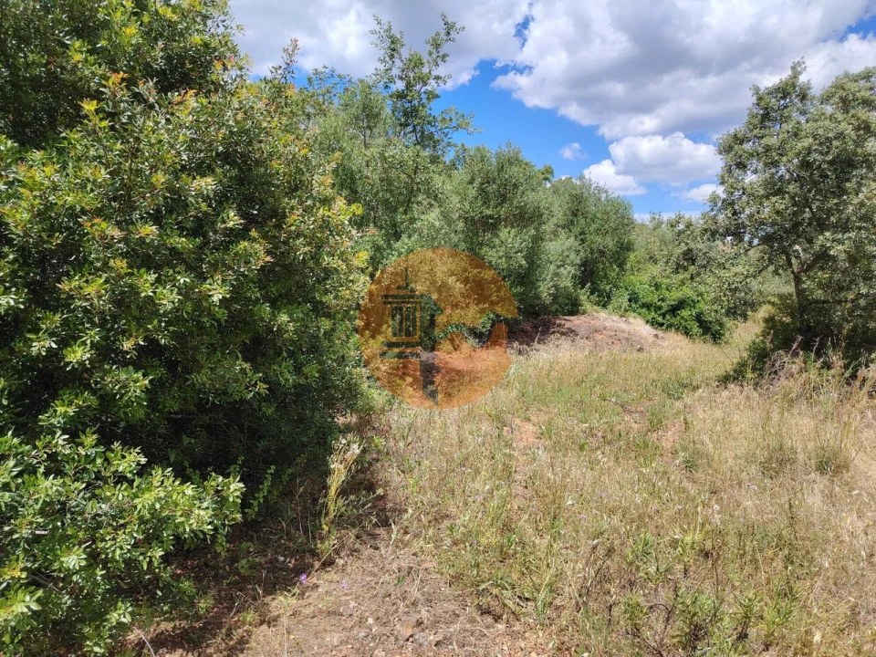 Terreno para Venda em Santa Catarina da Fonte do Bispo Foto 10