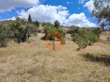 Terreno para Venda em Santa Catarina da Fonte do Bispo
