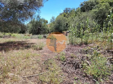 Terreno para Venda em Santa Catarina da Fonte do Bispo
