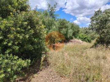 Terreno para Venda em Santa Catarina da Fonte do Bispo