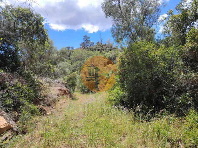 Terreno para Venda em Santa Catarina da Fonte do Bispo Foto 3
