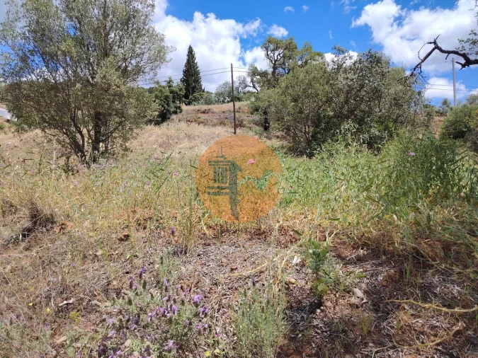 Terreno para Venda em Santa Catarina da Fonte do Bispo Foto 4