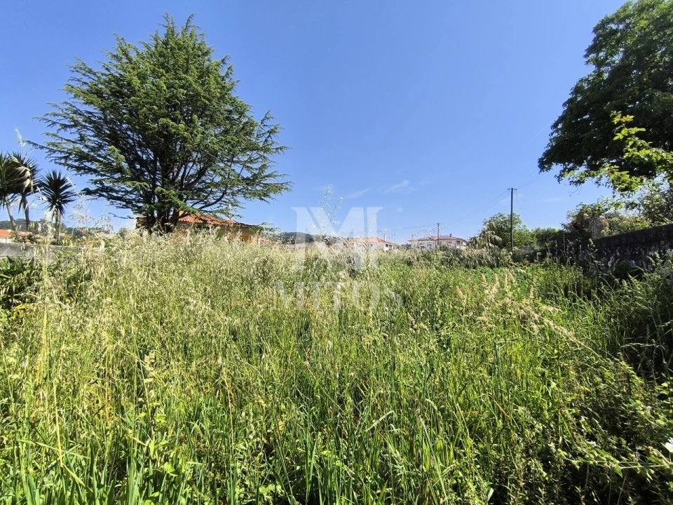 Terreno para Venda em Vila Nova de Anha Foto 4