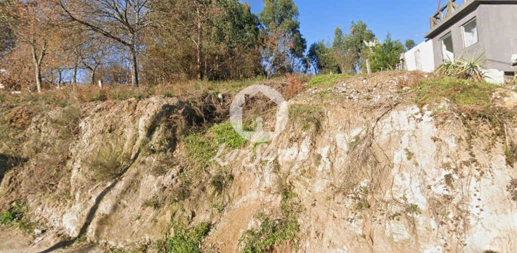 Terreno Agricola ou Rústico para Venda em Figueiras e Covas
