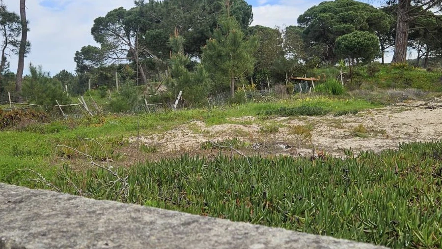Terreno P/ Prédio para Venda em Sesimbra (Castelo)