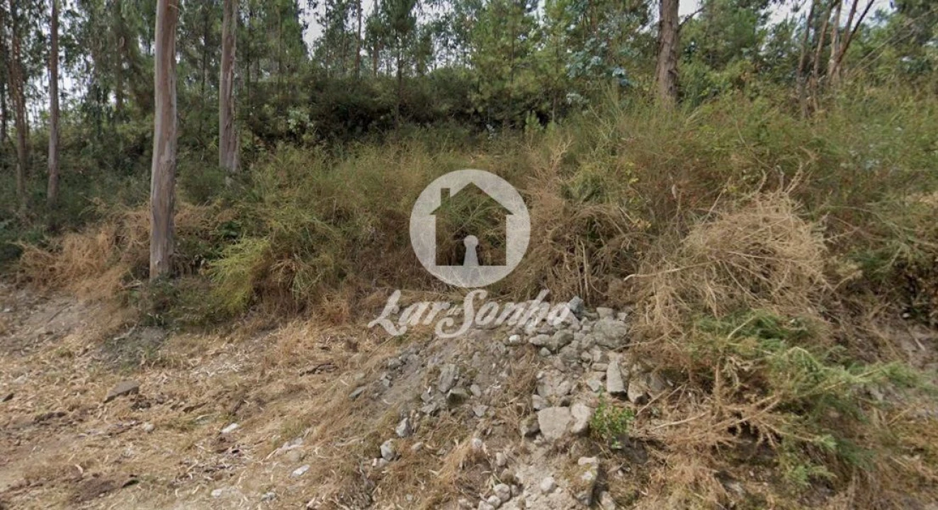 Terreno Agricola ou Rústico para Venda em Figueiras e Covas Foto 1