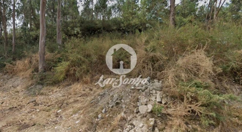 Terreno Agricola ou Rústico para Venda em Figueiras e Covas