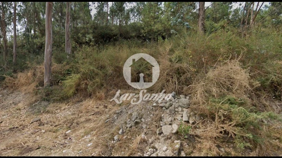 Terreno Agricola ou Rústico para Venda em Figueiras e Covas