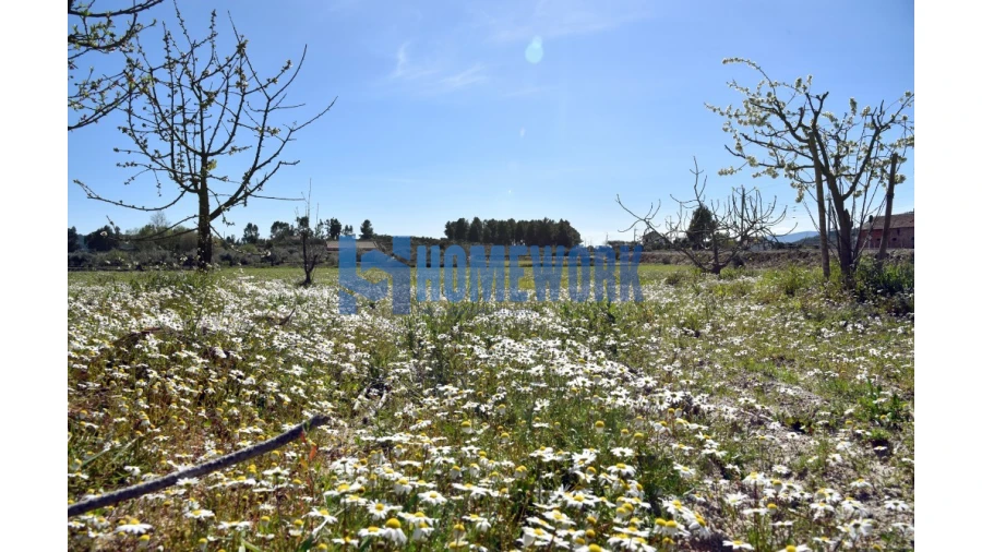 Moradia T3 para Venda em Belmonte e Colmeal da Torre Foto 5
