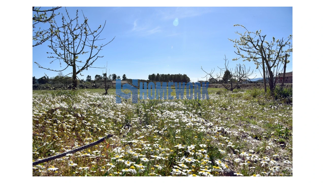 Moradia T3 para Venda em Belmonte e Colmeal da Torre Foto 5