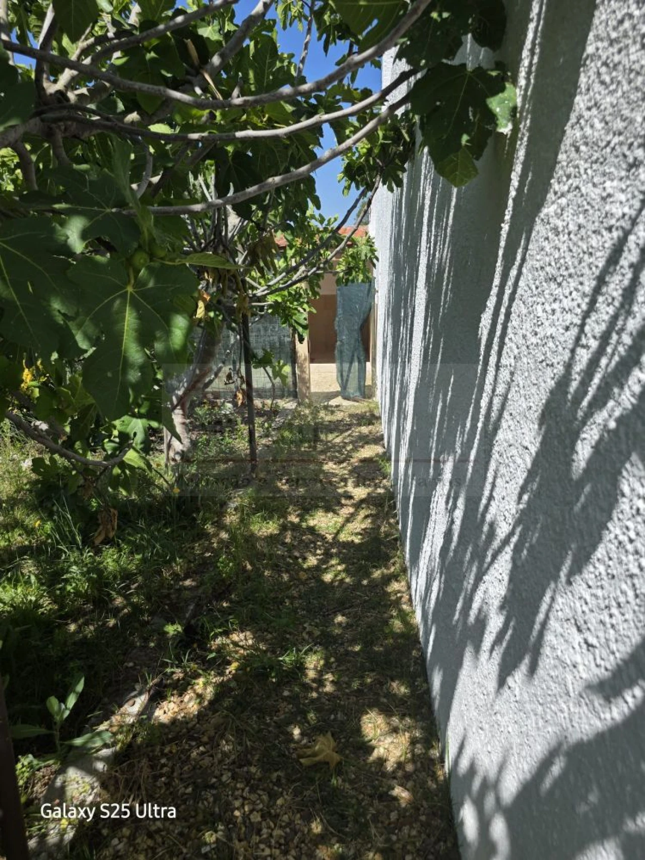 Moradia T4 para Venda em Gambia-Pontes-Alto da Guerra Foto 17