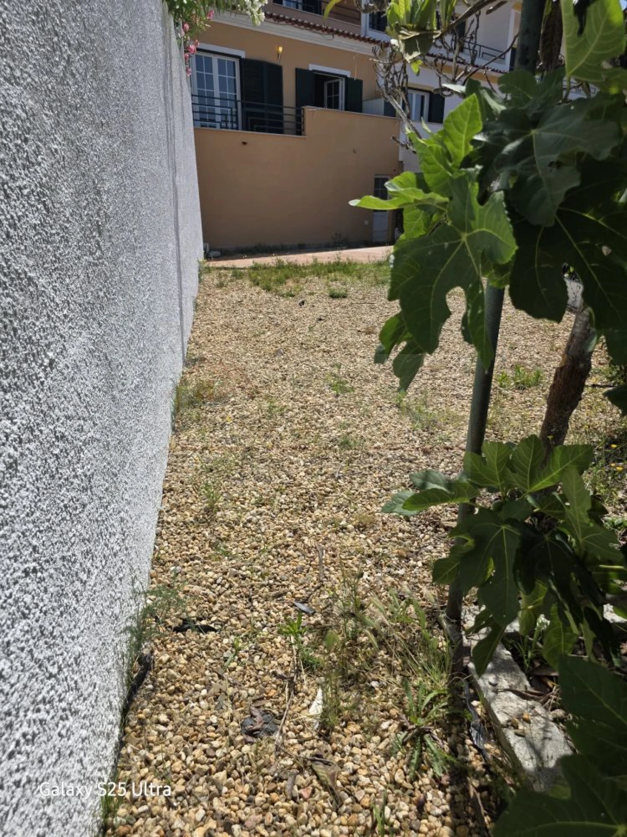 Moradia T4 para Venda em Gambia-Pontes-Alto da Guerra Foto 18