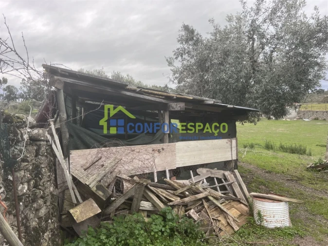 Terreno para Venda em Alcains Foto 6