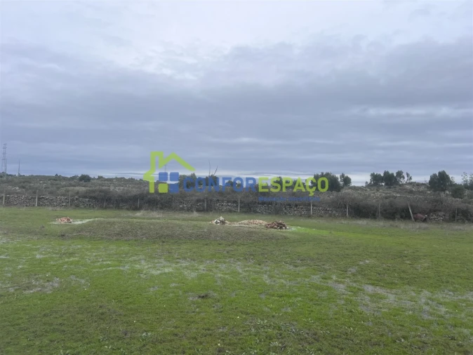 Terreno para Venda em Alcains Foto 4