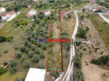 Terreno para Venda em Freixianda, Ribeira do Fárrio e Formigais