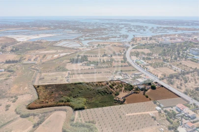 Quinta T10 para Venda em Faro (Sé e São Pedro)
