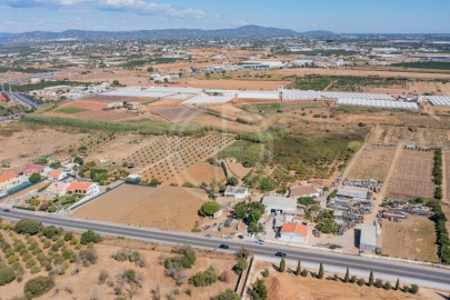 Quinta T10 para Venda em Faro (Sé e São Pedro)