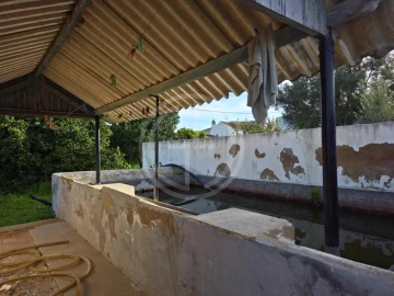 Quinta T10 para Venda em Faro (Sé e São Pedro)